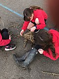 Outdoor Learning